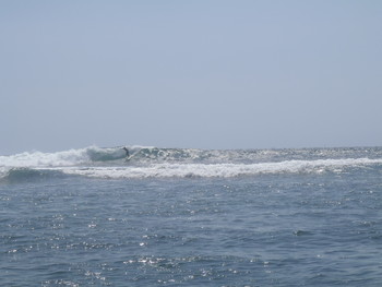 PA140061.jpg