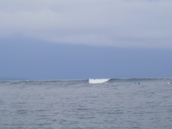 PB060081.jpg