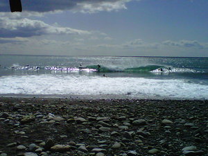 IMG00194-20110302-1214.jpgのサムネール画像
