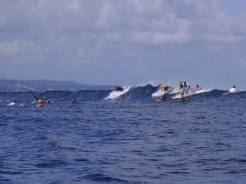 P5210338.JPG
