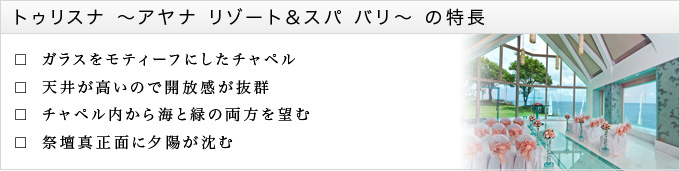 特長